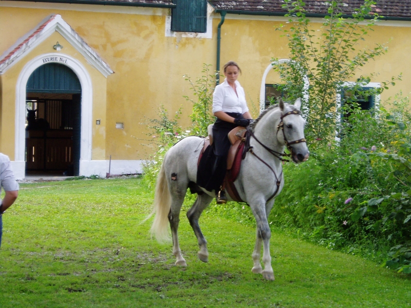 Lilienhof 270805 016